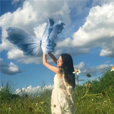 我是霸王龙